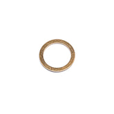 Pramac GS22 Basic Copper Washer 23x18mm G096001