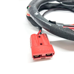 Xilin Ningbo-Ruyi CBD12W-Li Master Wire Harness 5202010027